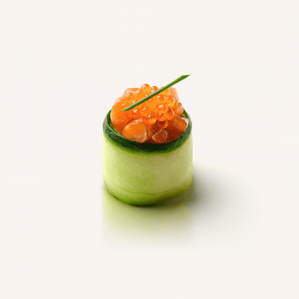 Salmon Tulip